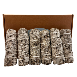 Pack 6 Salvia Blanca Californiana | Purificación y Limpieza Energética