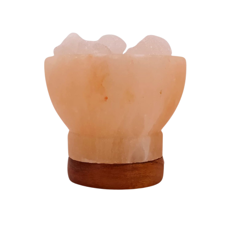 Lámpara USB de Sal del Himalaya | Cuenco LED Multicolor | Luz NaturalL