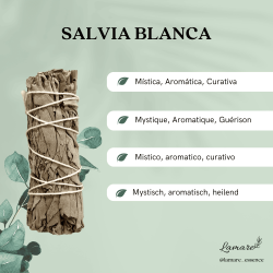 Kit de Purificació Aura - Salvia Blanca, Palo Santo i Quars Blanc