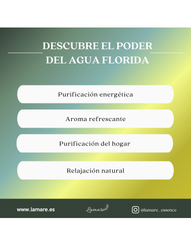 Aigua de Florida Murray & Lanman – Neteja i Protecció