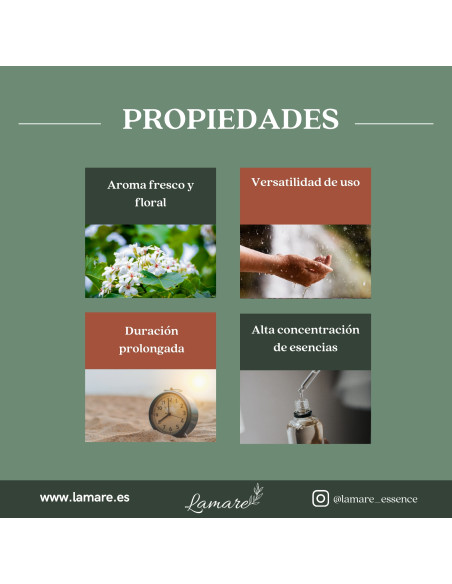 Pusanga Cologne – Love Attraction and Emotional Energy