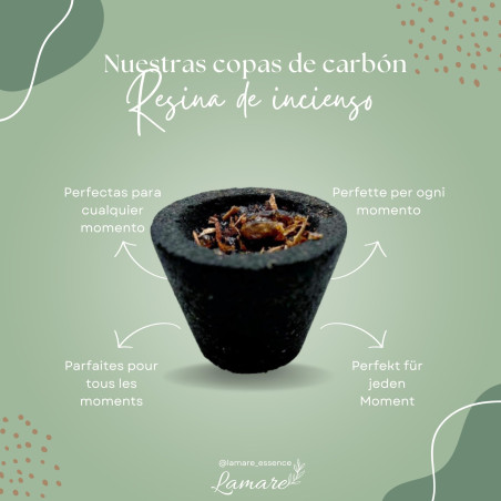 Copas de Carbón con 5g de Resina de Incienso Palo Santo Sandalwood 2
