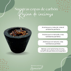 Charcoal Discs with 5g Nag Champa Incense Resin